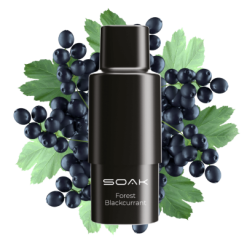 Картридж SOAK Q Forest Blackcurrant