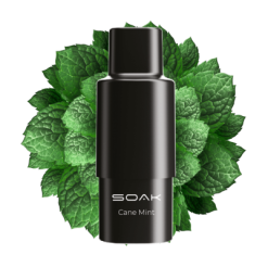 Картридж SOAK Q Cane Mint Тростниковая мята